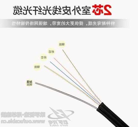 邯郸市欧孚光缆厂家 双芯皮线光缆是什么结构的