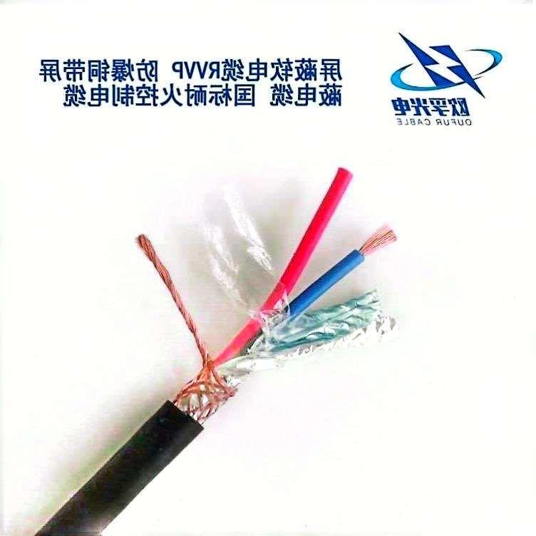 张掖市RVVP 控制电缆